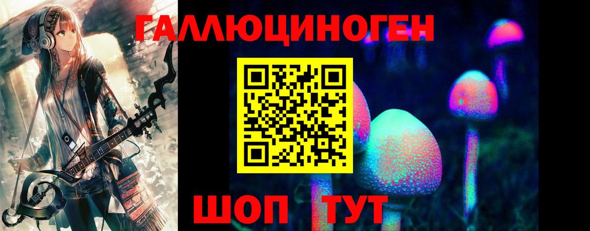 Галлюциногенные грибы Psilocybine cubensis Кимовск